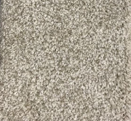 Shaw Carpet Broadloom 12x131 PM3399 Floors Etc. Outlet