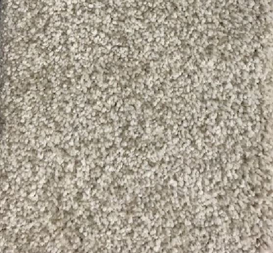 Shaw Carpet Broadloom 12x131 PM3399