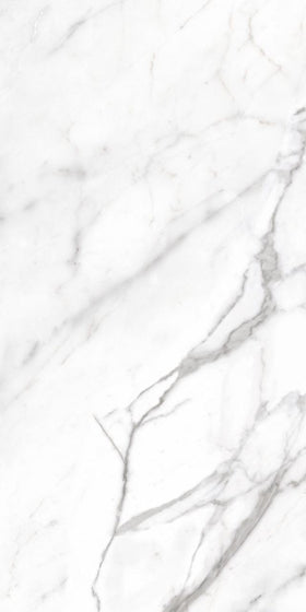 Daltile Costar Calacatta Empire 12" x 24" Matte