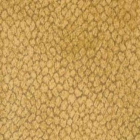 Kenya Golden Rod Carpet Broadloom
