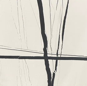 Laurance Whte 24x24 Polished