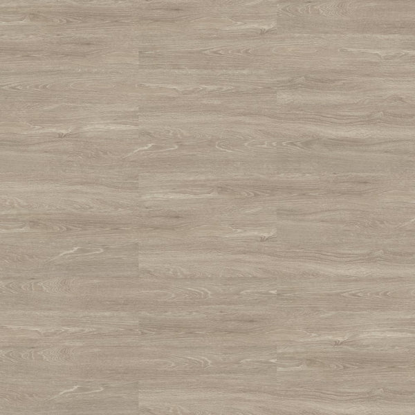 Shaw Terrain II 6x48 Echo 20 Mil