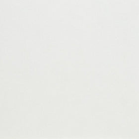 Thassos Snow White 2"X36"3/8" Double Bevel Threshhod