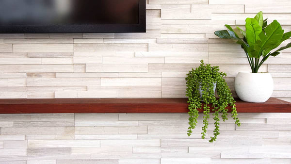 White Birch Honed Panel 6"x24"