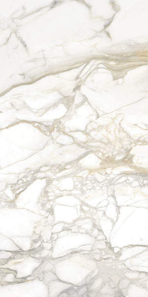 Maestro Bernini Oro 60"x120" Polished