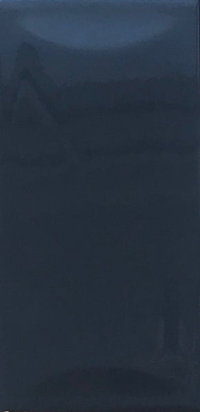 Tile 4 x 8 Glossy Dark Grey