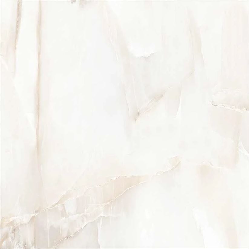 Aquarius Onyx Grey 24"x48" Polished