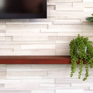 White Birch Panel 6"x24" Honed